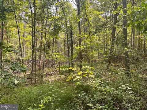 Shadyside Lane, Elk Garden, WV 26717