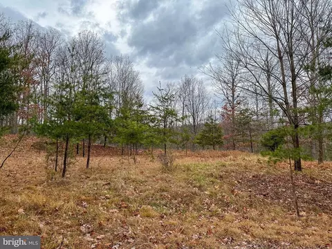 Jason Lane, Keyser, WV 26726
