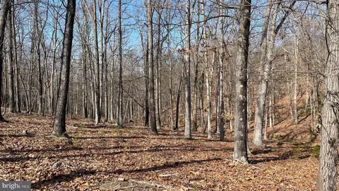 1131 Broad Hollow Rd, Springfield, WV 26763 photo 31