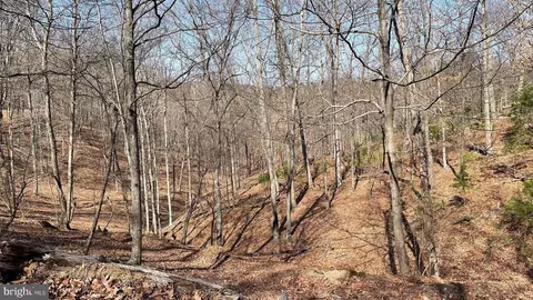 1131 Broad Hollow Rd, Springfield, WV 26763 photo 36