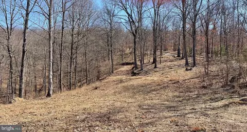 1131 Broad Hollow Rd, Springfield, WV 26763 photo 49