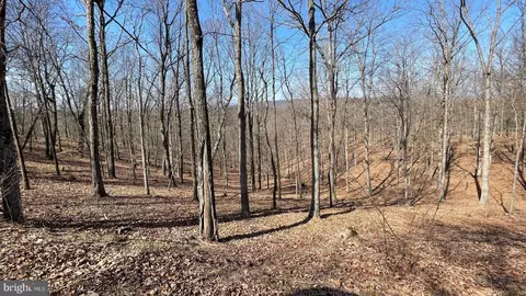 1131 Broad Hollow Rd, Springfield, WV 26763 photo 37