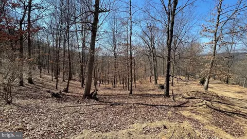 1131 Broad Hollow Rd, Springfield, WV 26763 photo 45