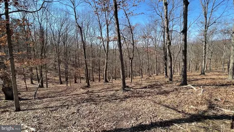 1131 Broad Hollow Rd, Springfield, WV 26763 photo 39