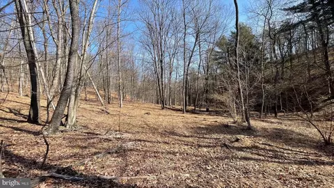 1131 Broad Hollow Rd, Springfield, WV 26763 photo 33