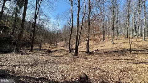 1131 Broad Hollow Rd, Springfield, WV 26763 photo 34