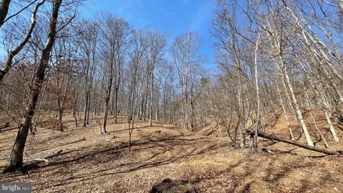 1131 Broad Hollow Rd, Springfield, WV 26763 photo 35