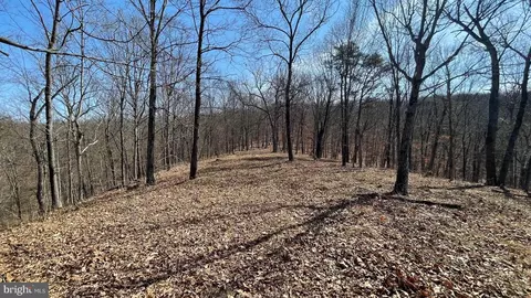 1131 Broad Hollow Rd, Springfield, WV 26763 photo 42