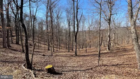 1131 Broad Hollow Rd, Springfield, WV 26763 photo 38