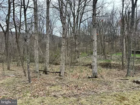 Timberlake Estates - Lot 24, New Creek, WV 26743