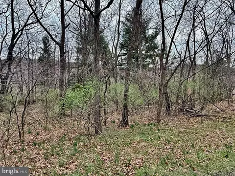 Timberlake Estates - Lot 48, New Creek, WV 26743