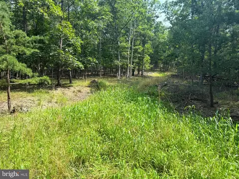 6 Beaver Run Rd, Burlington, WV 26710