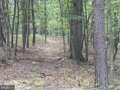 152 Acres Off Plum Run Rd, Ridgeley, WV 26753