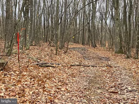 Oakmont Road, Elk Garden, WV 26717