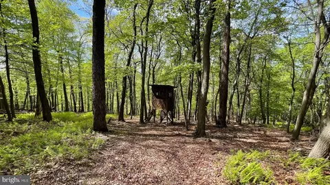 133 944 Acres Russelldale Rd, Burlington, WV 26710