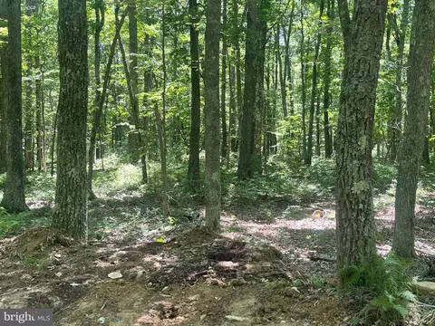 0 Schell Rd, Elk Garden, WV 26717
