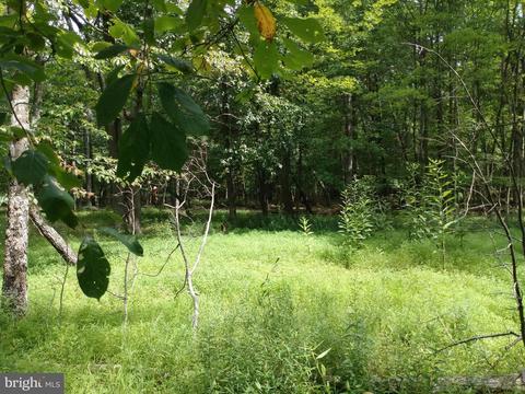 1 North Trevor Drive, Great Cacapon, WV 25422