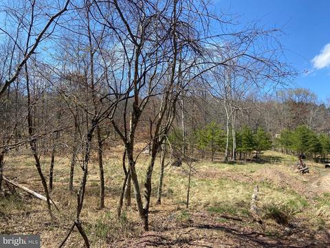 Lot 38a Holly Hill Lane, Berkeley Springs, WV 25411
