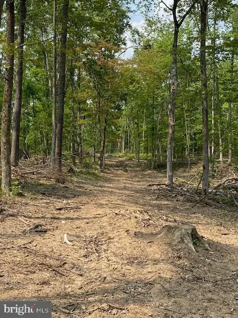 14 Fulton Rd, Hedgesville, WV 25427