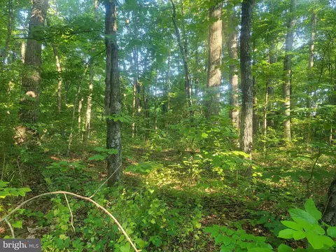 Morosko Lane, Berkeley Springs, WV 25411