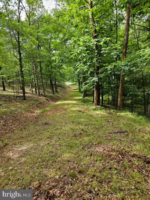Luther Michael Road, Berkeley Springs, WV 25411