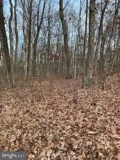 L0ts 13 & 14 Prospect Peak, Berkeley Springs, WV 25411