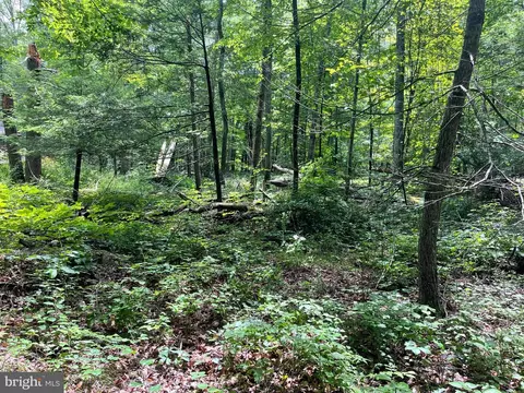 C3 Frog Hollow Way, Berkeley Springs, WV 25411