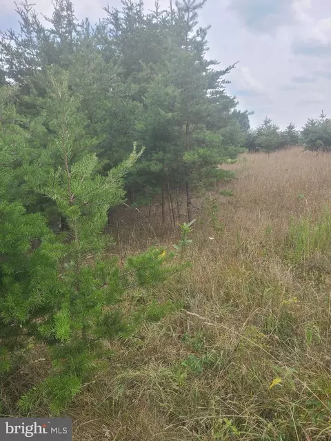 Husk Trail, Berkeley Springs, WV 25411