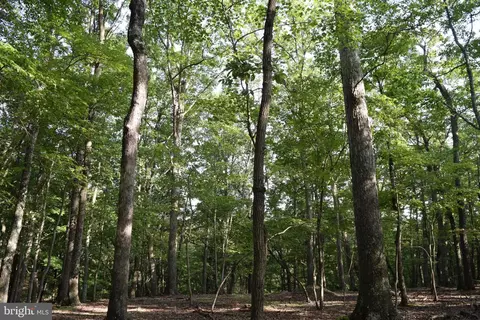 Pioneer Trail, Great Cacapon, WV 25422