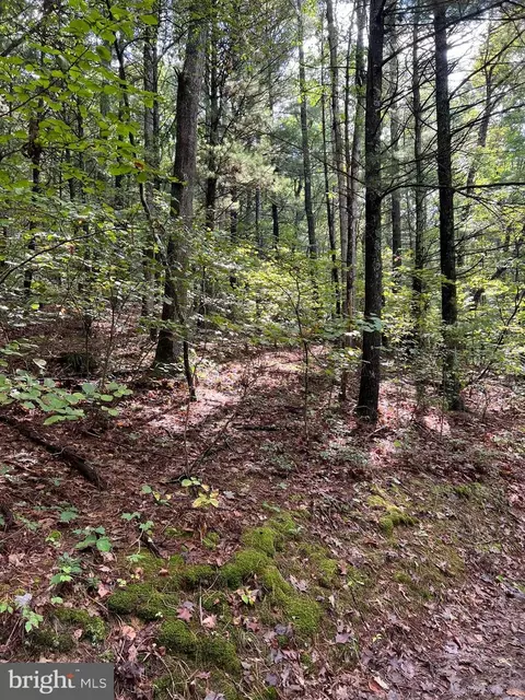Somers Lane, Berkeley Springs, WV 25411