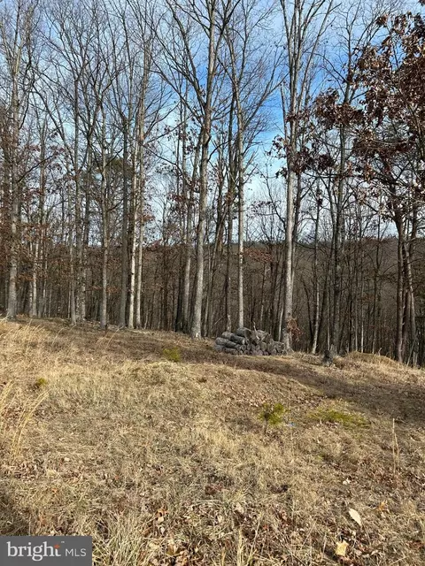 49 Plum Tree Lane, Berkeley Springs, WV 25411