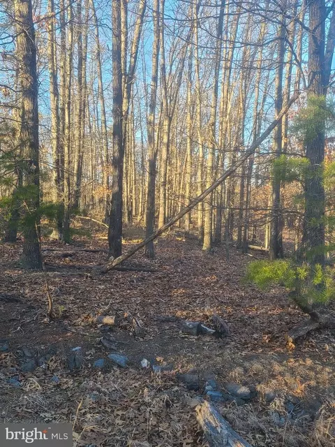 Silage Lane, Berkeley Springs, WV 25411
