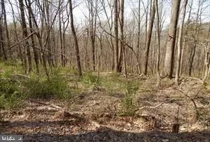 1 Spicy Cedar Lane, Berkeley Springs, WV 25411