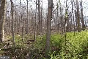 3 Spicy Cedar Lane, Berkeley Springs, WV 25411
