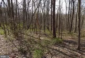 4 Spicy Cedar Lane, Berkeley Springs, WV 25411