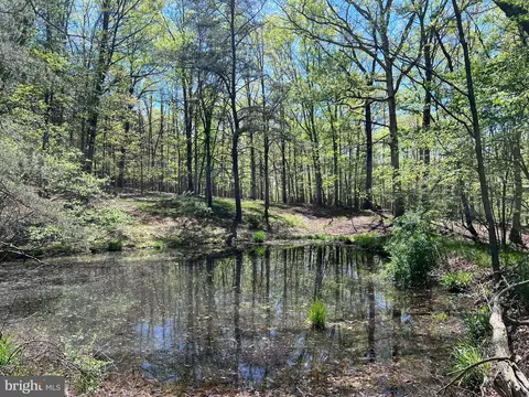 Holly Hill Lane, Berkeley Springs, WV 25411