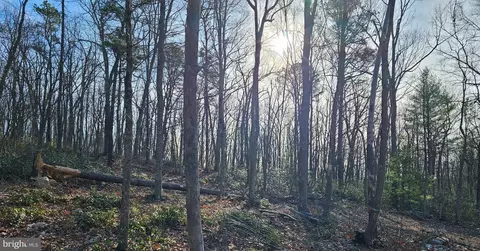 michaels chapel rd, Hedgesville, WV 25427