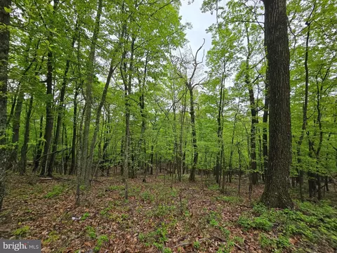1100 Roberts Rd, Great Cacapon, WV 25422
