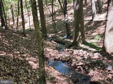 Lot B Gaither Rd, Paw Paw, WV 25434