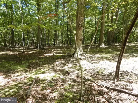 Sideling Mountain Trail, Great Cacapon, WV 25422