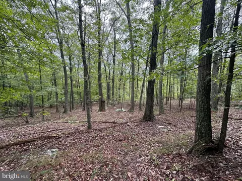 lot7 Detour Rd, Great Cacapon, WV 25422