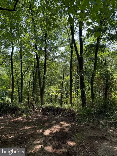 lot Apt 45 Hickory Hollow Rd, Berkeley Springs, WV 25411