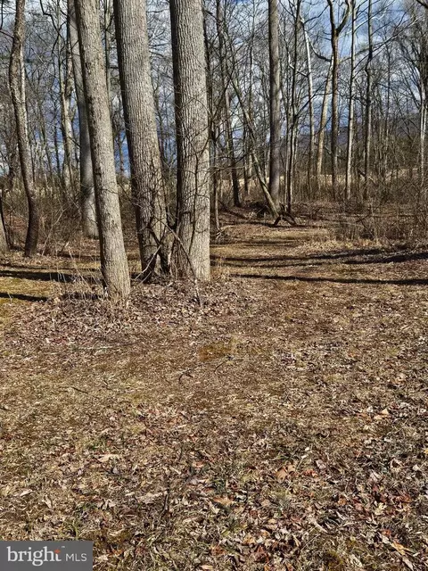 eckerd, Berkeley Springs, WV 25411 photo 45
