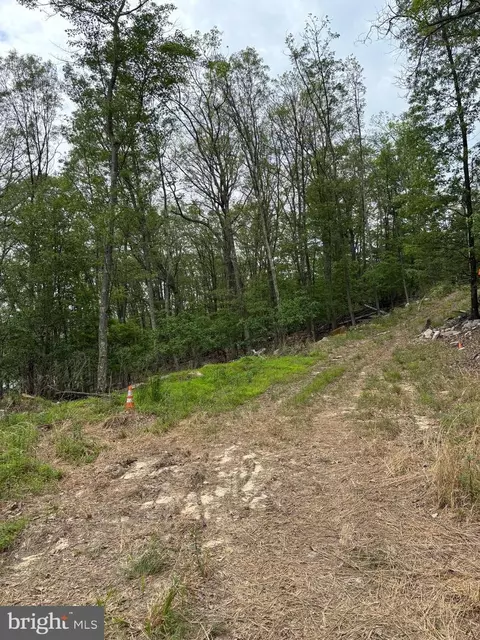 lot17 Roberts Ln, Great Cacapon, WV 25422