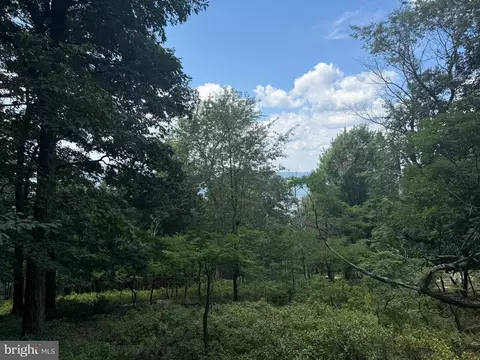 0 Fire Tower Rd, Great Cacapon, WV 25422
