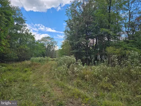 Gamble Road - Pcl 51, Great Cacapon, WV 25422