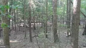 Calypso Trail, Great Cacapon, WV 25422