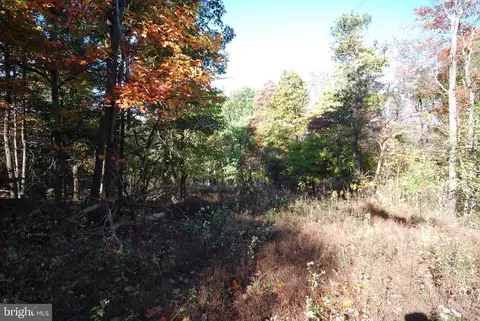 lot17 Gaither Rd, Great Cacapon, WV 25422