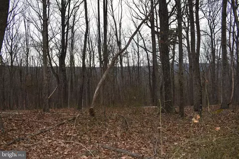 58 Birch Grove Ln, Berkeley Springs, WV 25411