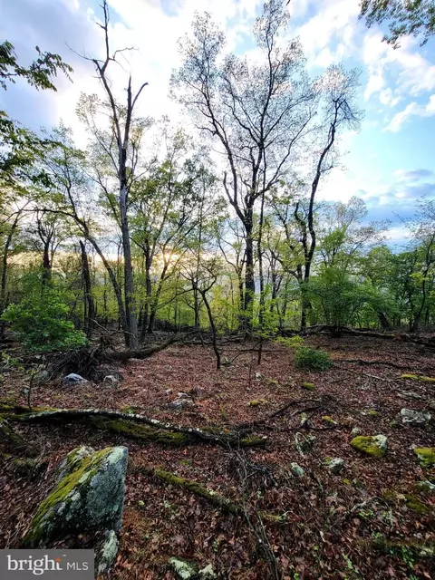 lot7 Justin Ln, Great Cacapon, WV 25422